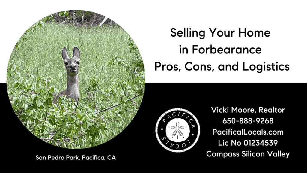 article title: Selling Your Home in Forbearance - Pros, Cons, and Logistics image: deer sticking her head out of the tall green grasses at the park