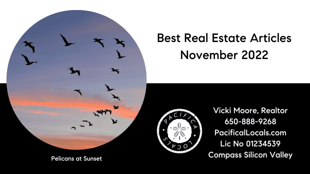 article title: Best Real Estate Articles November 2022 image: sunset sky of blue and orange with a flock of pelicans flying by