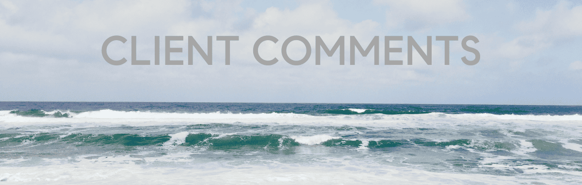 faded image of waves. text "client comments"