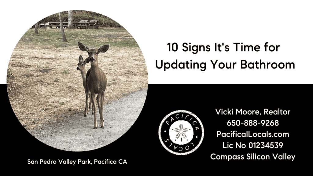 title: 10 Signs It's Time for Updating Your Bathroom image: deer in San Pedro Valley Park looking at the photographer