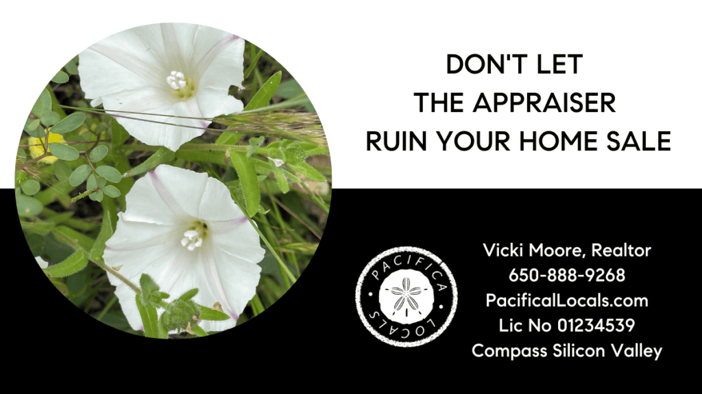 article title: Preparing for the Appraisal | Avoid Delays and Cancellations image: two white morning glory flowers