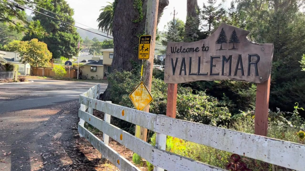 Wood homemade sign that says Welcome to Vallemar.