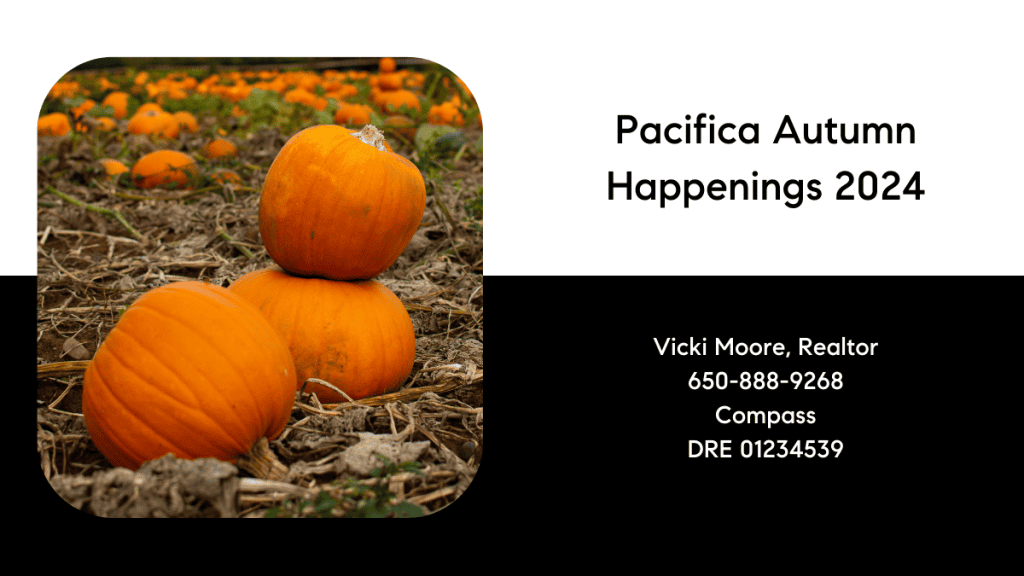 Pacifica Autumn Happenings 2024 with image of pumpkins in a field