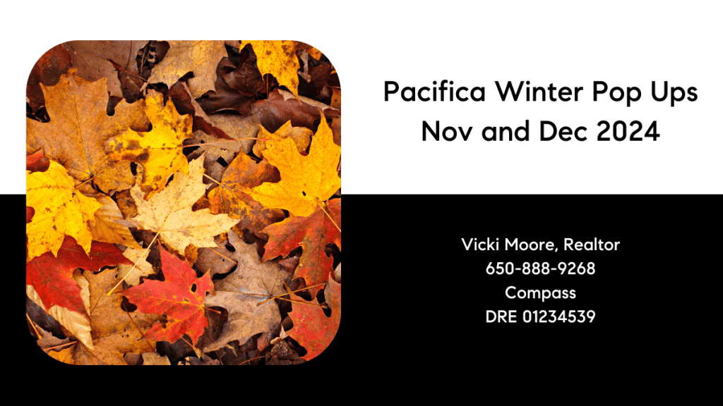 Blog post title: Pacifica Winter Pop Ups Nov and Dec 2024 Image of a pile of fall-colored leaves